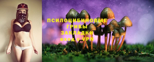 кокс Алзамай