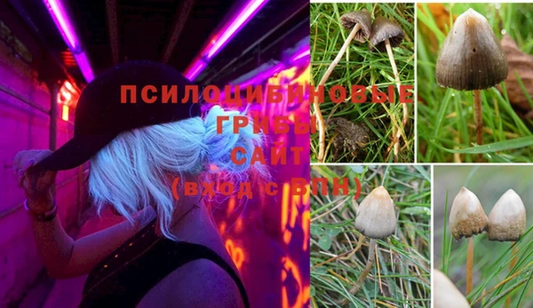 кокс Алзамай